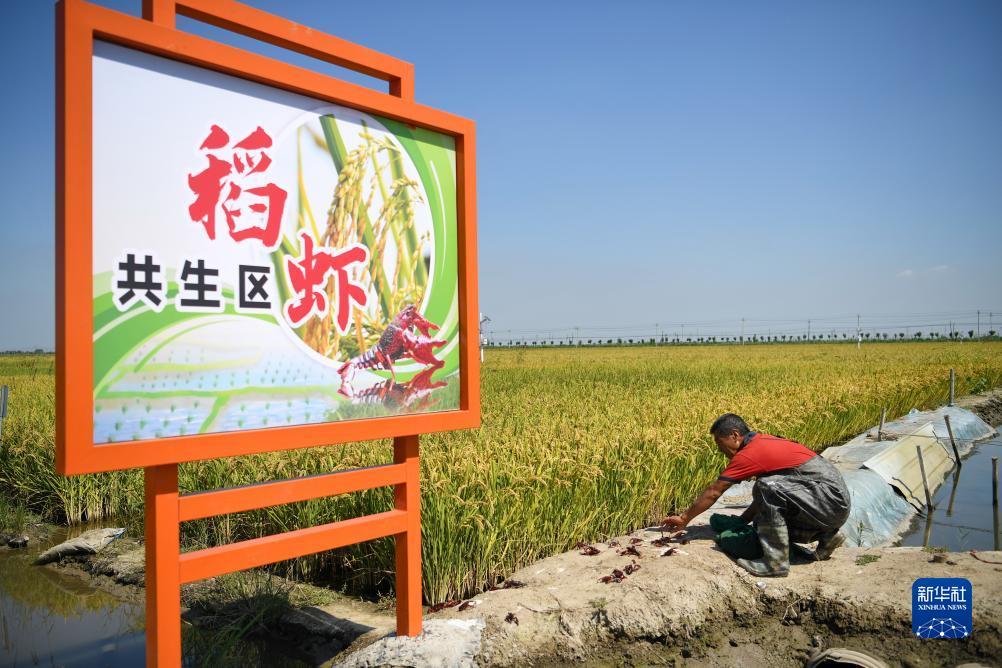 银河网址链接